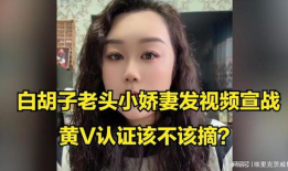 黄小视频,揭秘短视频时代的魅力与挑战